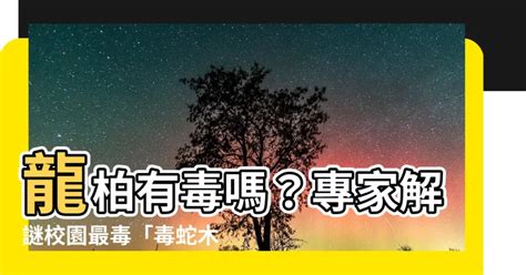 龍柏避邪|種龍柏招貴人？玄學專家告訴你